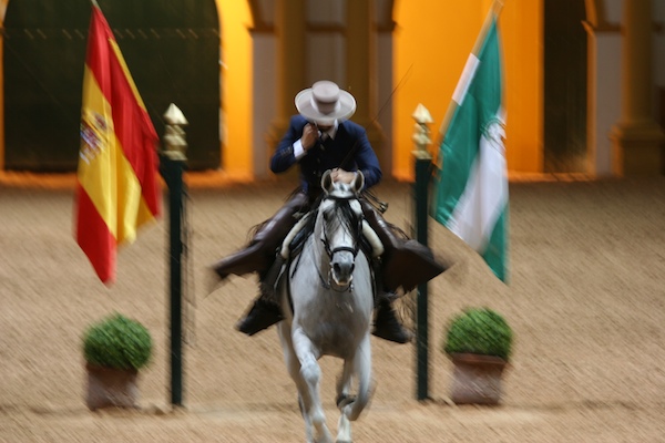 Jerez Horse Fair, Royal Andalusian School of Equestrian Arts